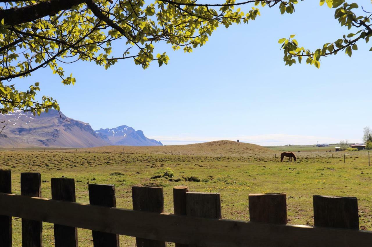Haukaberg House Hotel Höfn Екстериор снимка